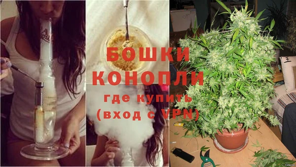 гидропоника Богородск