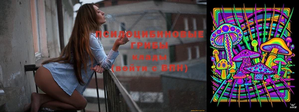 ешки Богородицк