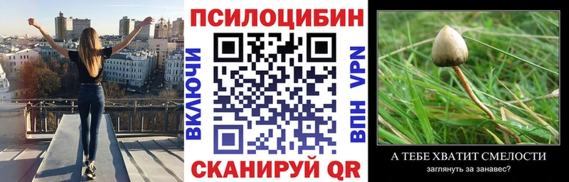 Псилоцибиновые грибы MAGIC MUSHROOMS Старица